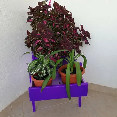 Rose Apartment Supetar