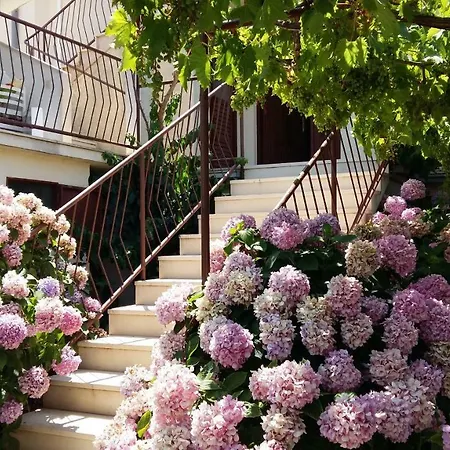 아파트 Rose
